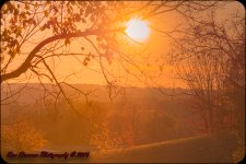 Frosty Morning-7322.jpg