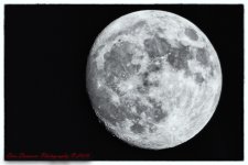 Pre Super Moon-7368-Edit-3.jpg