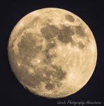 DSC_8027.jpg