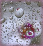 White Orchid  #4 11-11-2016.jpg