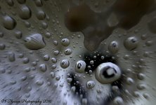 Warp Speed 11-11-2016.jpg