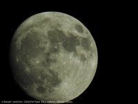 DSCN1339.jpg