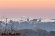 fog at dawn-7396.jpg