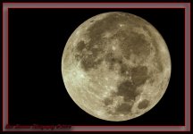 Super Moon 1116-7465-Edit.jpg