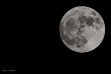D71_7166-2.jpg
