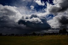 DSC_4991.jpg