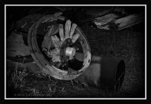 11-9-16-cr-bw_DSC_4287.jpg