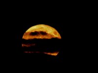 DSC_3276+Perigee Full Moon -0024.jpg