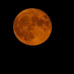 DSC_4364+Perigee Full Moon -0007.jpg