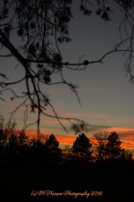 Sunset #1 11-14-2016.jpg