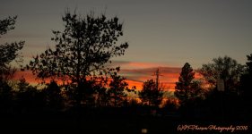 Sunset #2 11-14-2016.jpg