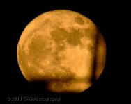 11-14-16-cr__D7K4793.jpg