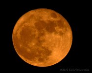 11-14-16-cr__D7K4803.jpg