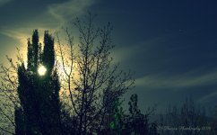 Super Moon Starry Night 11-14-2016.jpg