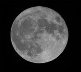 Supermoon-141116-d810.jpg
