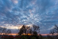 Mornings Dawn-7562.jpg
