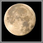 DSC_3334+Perigee Full Morning Moon -0004.jpg