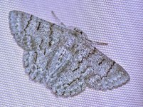 720_2752 2.jpg