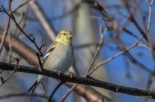 IVA_5359-Edit.jpg