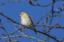 IVA_5363-Edit.jpg