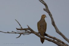 11-16-16-cr__D7K4853.jpg