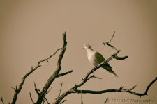 11-16-16-cr-bwsep__D7K4839.jpg