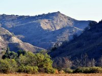 Hill2.jpg