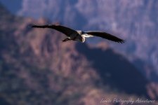 DSC_9195.jpg