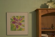 _AAA9526 - Version 2.jpg