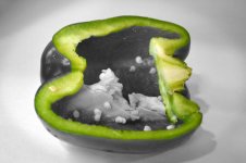 Green Pepper2.jpg