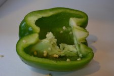 Green Pepper Original.jpg