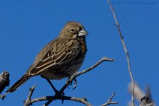 11-18-16-cr__D7K4879.jpg
