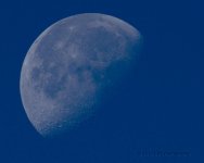 11-19-16-cr_D7K4880.jpg