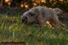 Afternoon Walk-7659.jpg