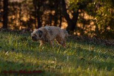 Afternoon Walk-7661.jpg