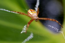 DSC_2343.jpg