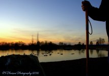 Sunset at Jensen #2 11-22-2016.jpg