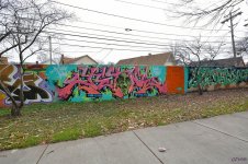 DSC_0074 nxd.jpg