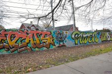 DSC_0076 nxd.jpg
