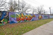DSC_0070 nxd.jpg
