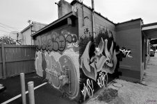 DSC_0038 nxd.jpg