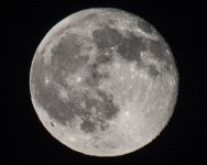 moon 7-20-2016.jpg