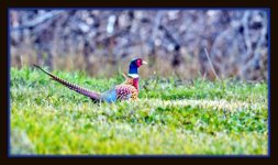 1-DSC_1238-Edit.jpg