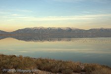 Wasatch Mountains Reflected in the Great Salt Lake 11-25-2016.jpg
