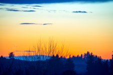 1-DSC_1298.jpg