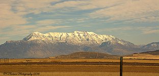 Cedar Valley #8 11-26-2016.jpg