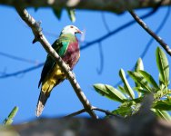 DSC_1447.jpg
