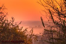 Fog at Sunrise-7826.jpg