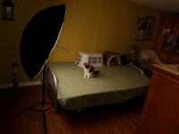 DSC_4913+umbrella-softbox-0001.jpg