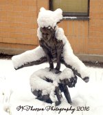 Snowy Statue 11-28-2016.jpg